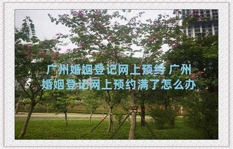 广州婚姻登记网上预约 广州婚姻登记网上预约满了怎么办